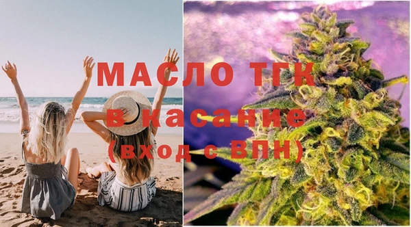 гашик Бородино