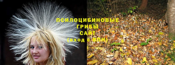 гашик Бородино