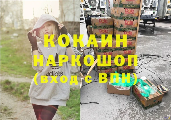 гашик Бородино