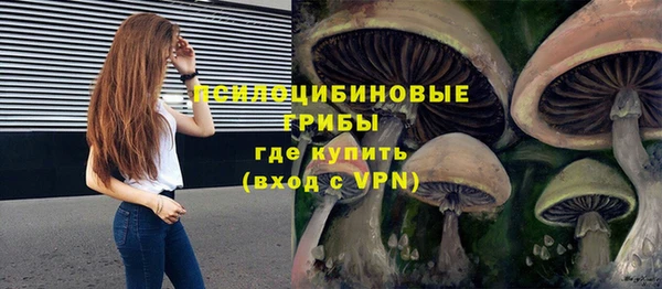 шишки Бугульма