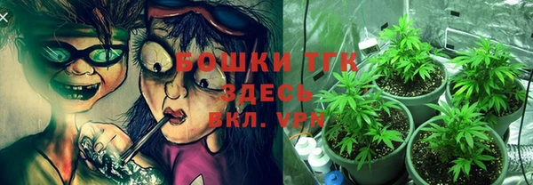 шишки Бугульма
