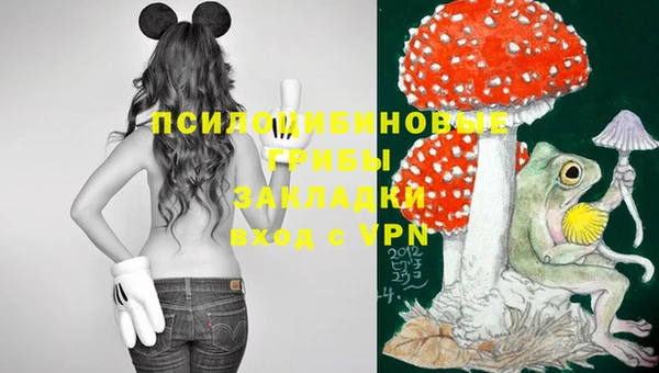 шишки Бугульма