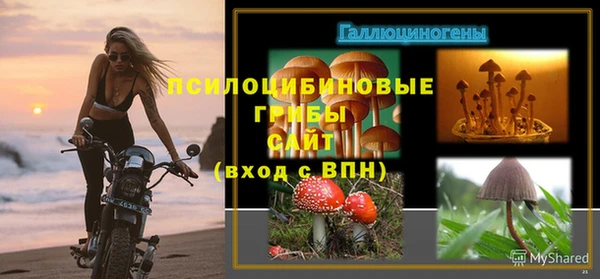 гашик Бородино